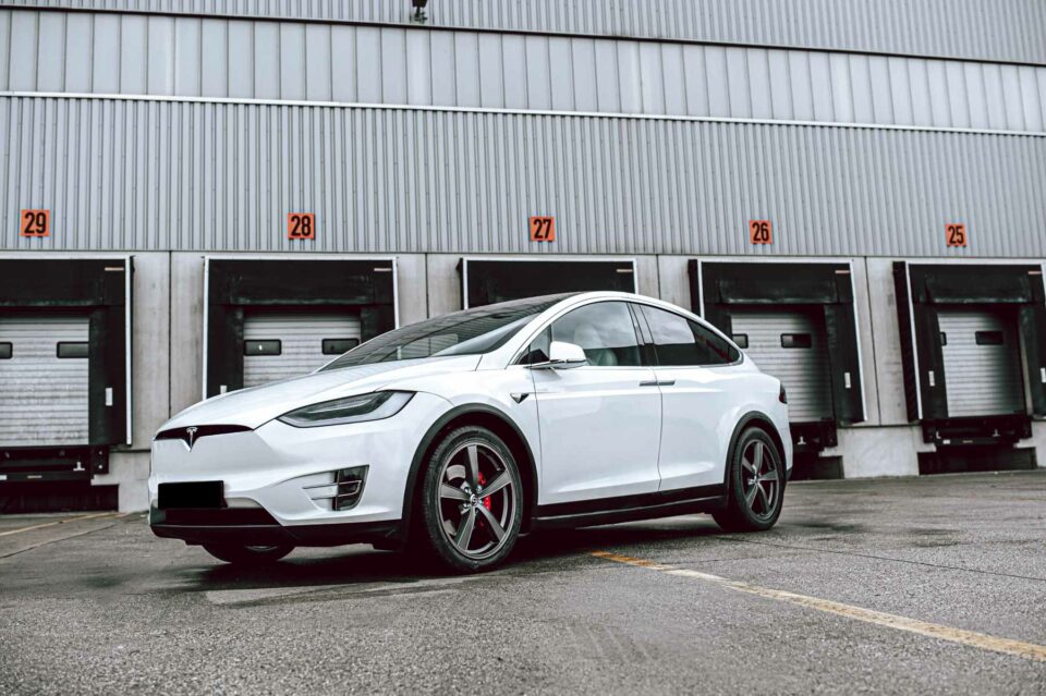 ModelX Trina Platin 3