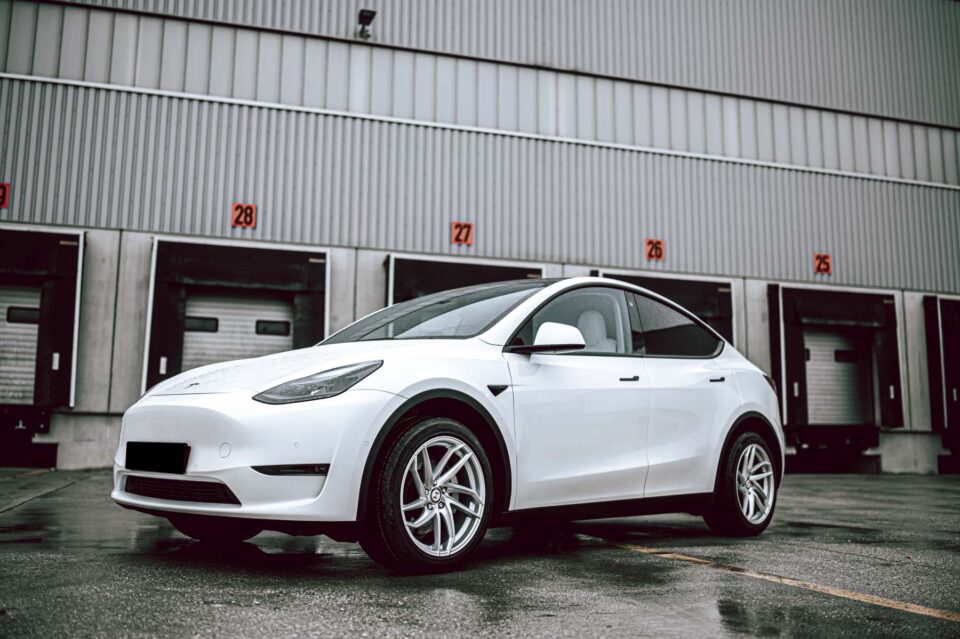 ModelY Heron Silver 1