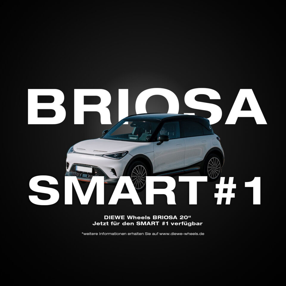 Smart Hashtag 1 Briosa 18 zoll